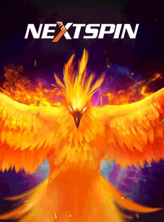 partyclub9nextspin